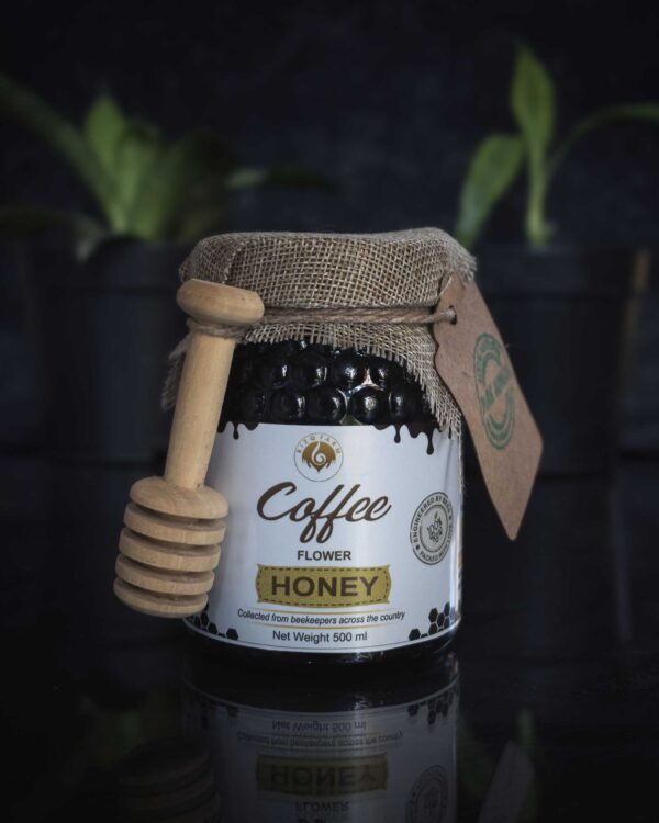 500ml coffee flower honey